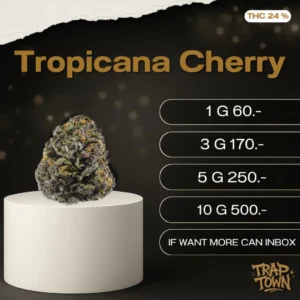 TROPICANACHERRY