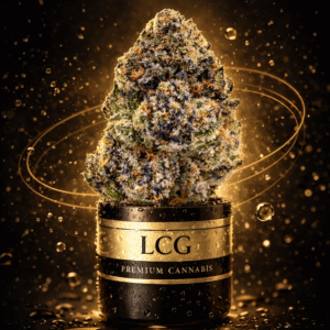 LEMOND CHERRY GELATO