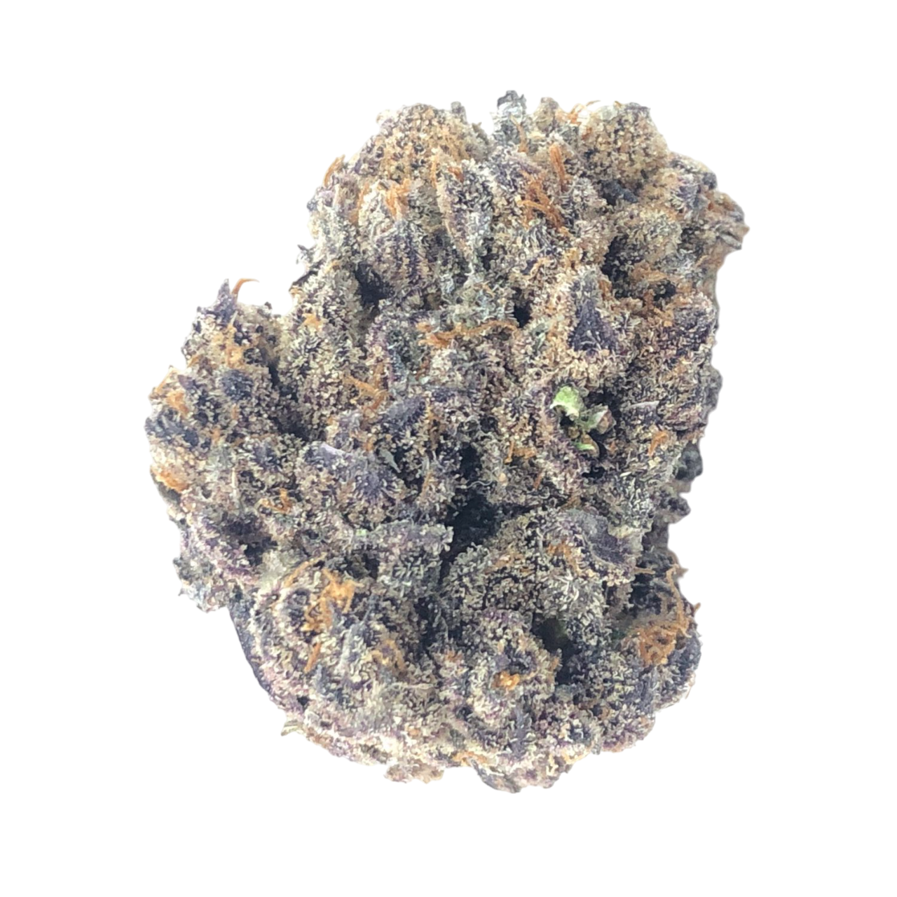 img_1511-scaled-Photoroom